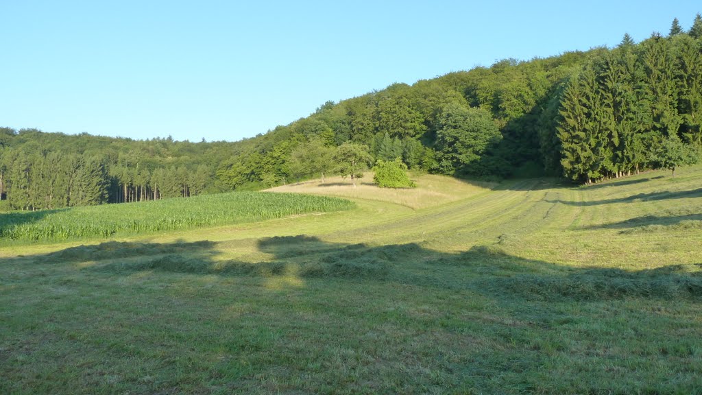 Lörrach-Brombach (D); hintere und vordere Borsthalde by Günter Wölker