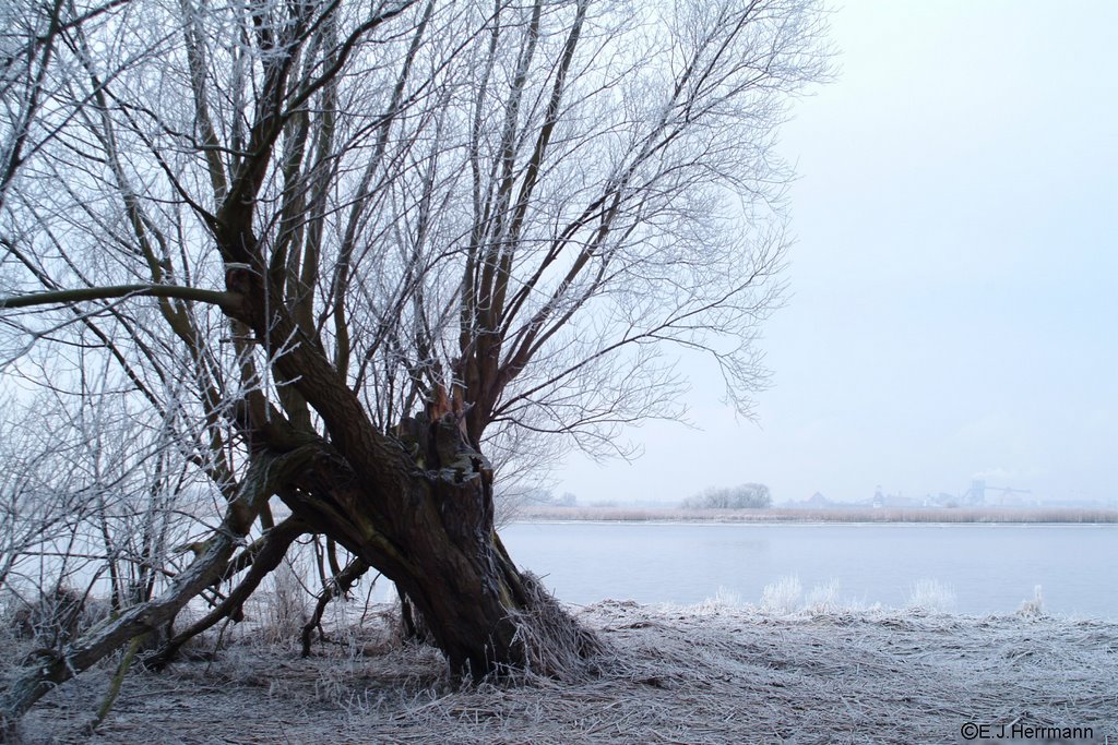 Bishorst im tiefen Winter by Juliane Herrmann