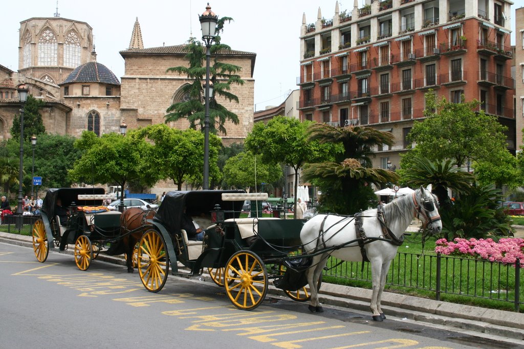 Plaza de la Reina, Valencia, Spain by Hans Sterkendries