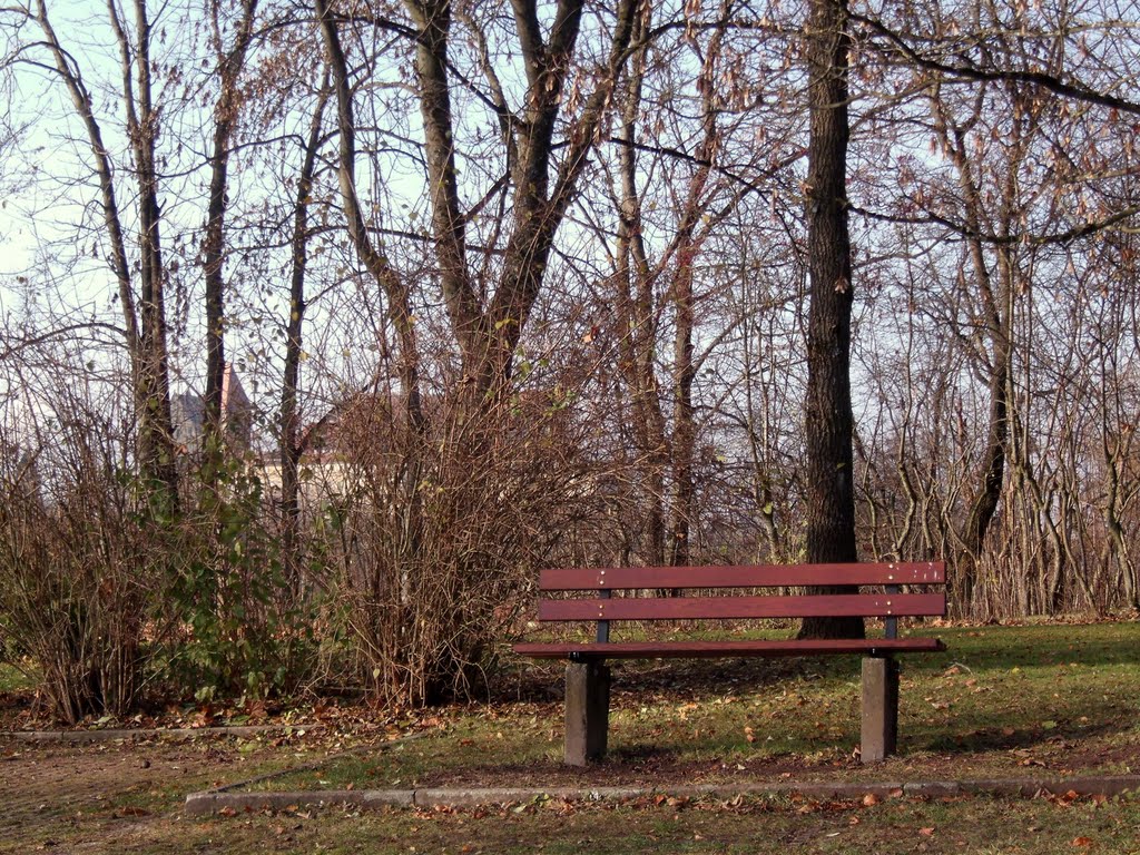 Ausruhen mit der Veste Coburg im Hintergrund. by Pfiffer