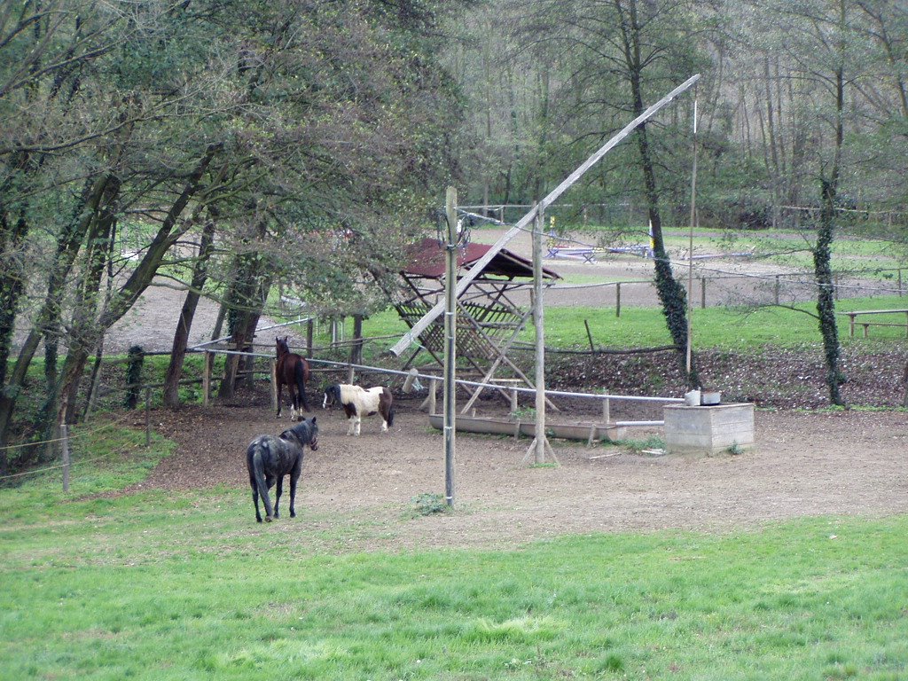 Zalacsány park by Dr. Pinczés Sándor