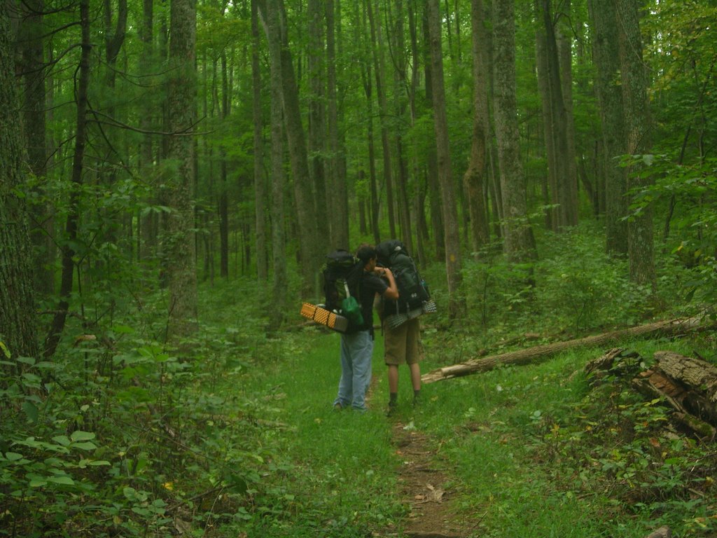 Shenandoah Backcountry by poissonperdu