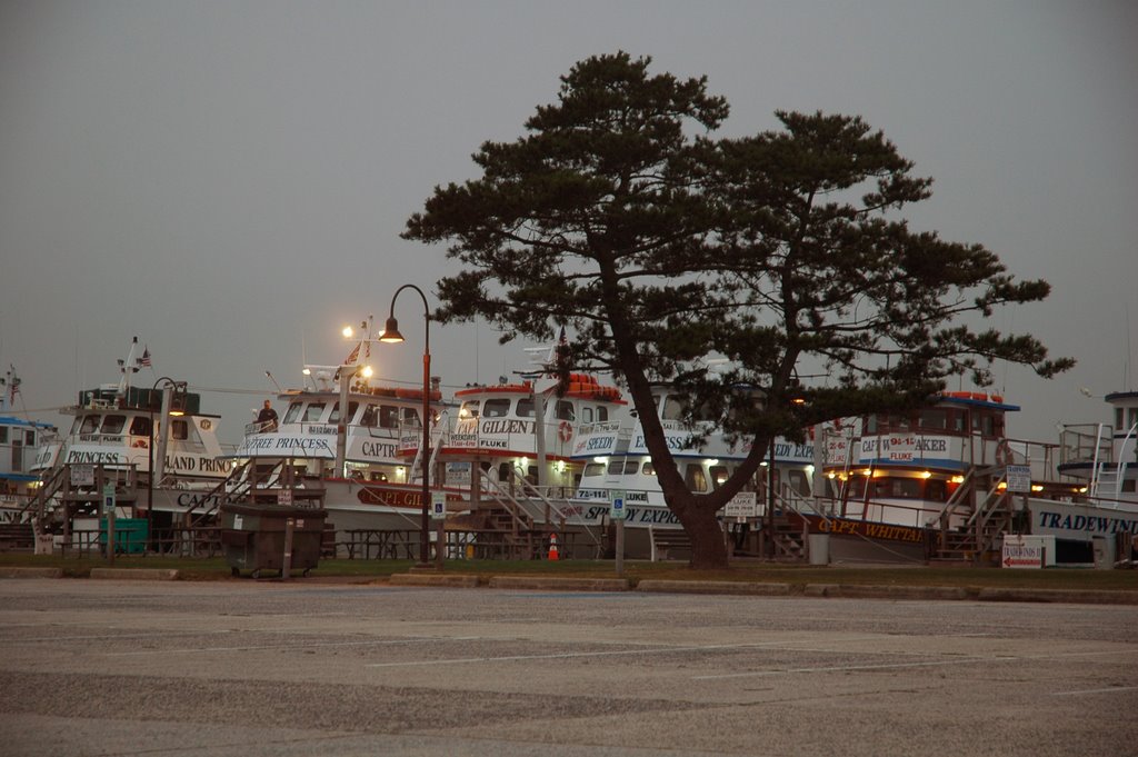 Moored boats near Captree island by Daniel Singleton