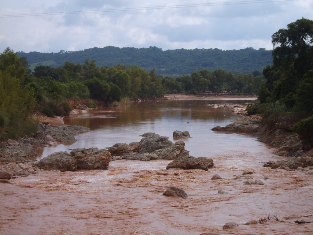 Caraparí al Este del puente by VerónicaC