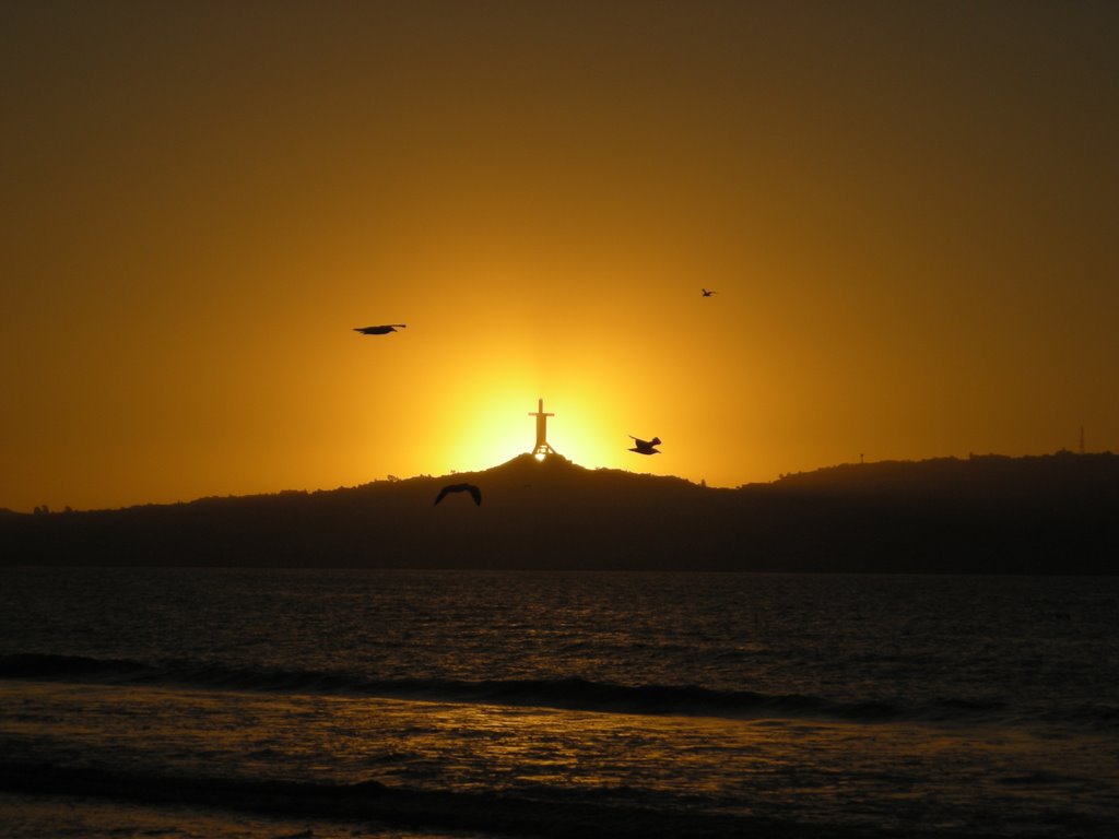 Puesta de sol Con Gaviotas volando by Francisco J. Becker B.