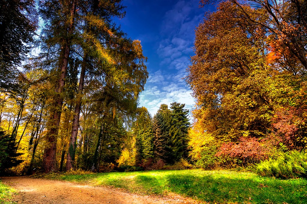 Colors of Autumn / Az ősz színei (Arborétum Zirc) by Zoli Tál