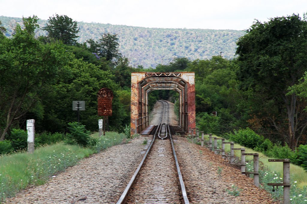 Railway bridge at Groot Marico by Daan Prinsloo