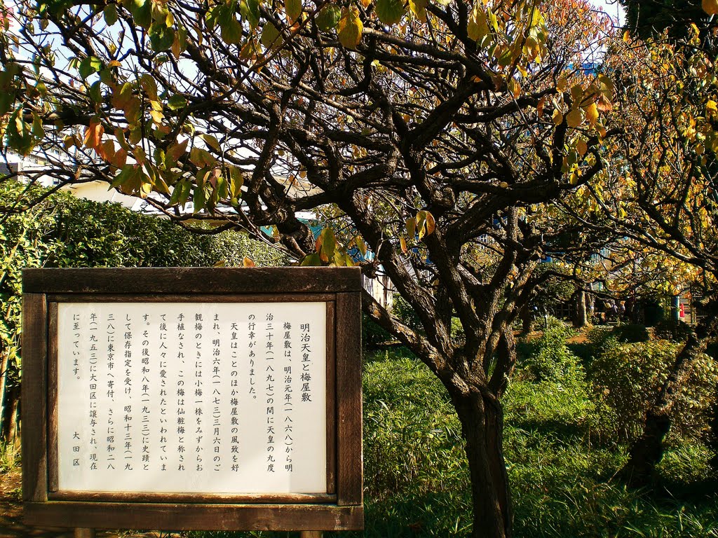 東京都　梅屋敷公園 by CHOPIGU