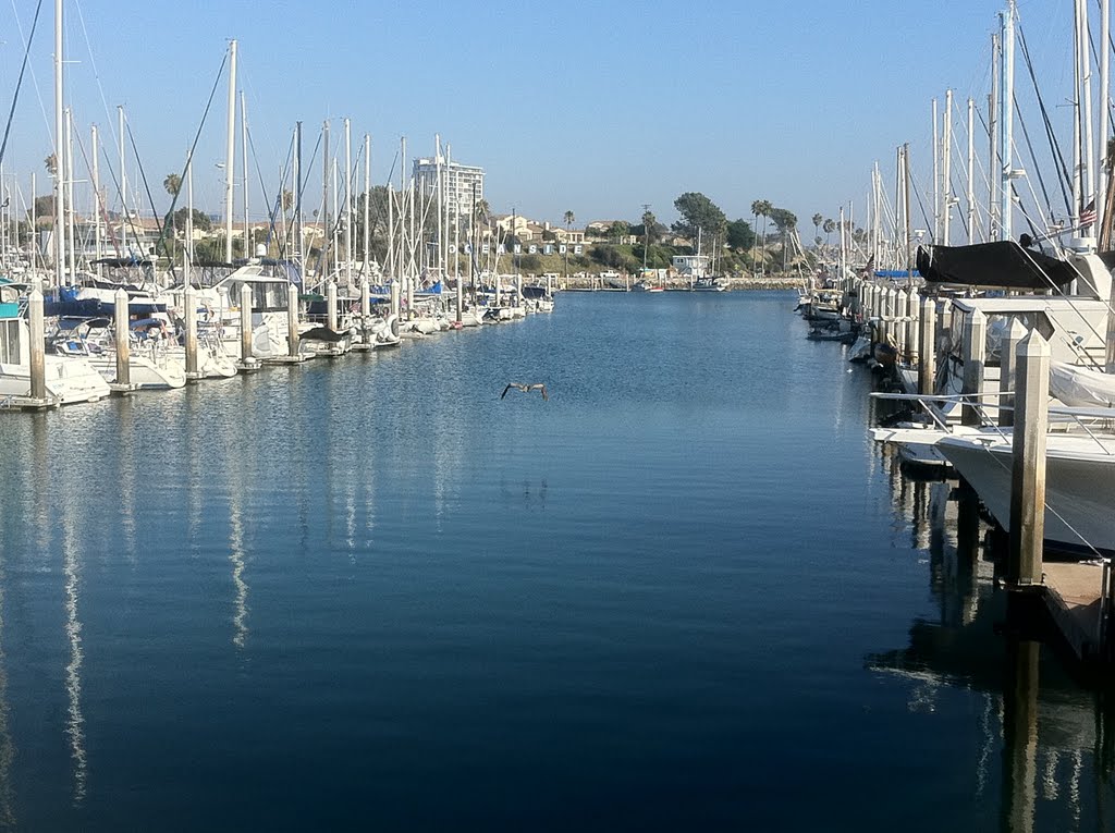 Oceanside Marina, San Diego, Ca by MIkeDot3s