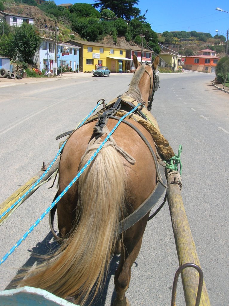 BUCALEMU vers la plage 10 12 06 Cheval Tata Melo by Adeline BOURDEAU