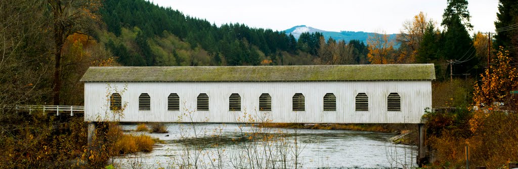 Goodpasture Covered Bridge by Larry Butcher