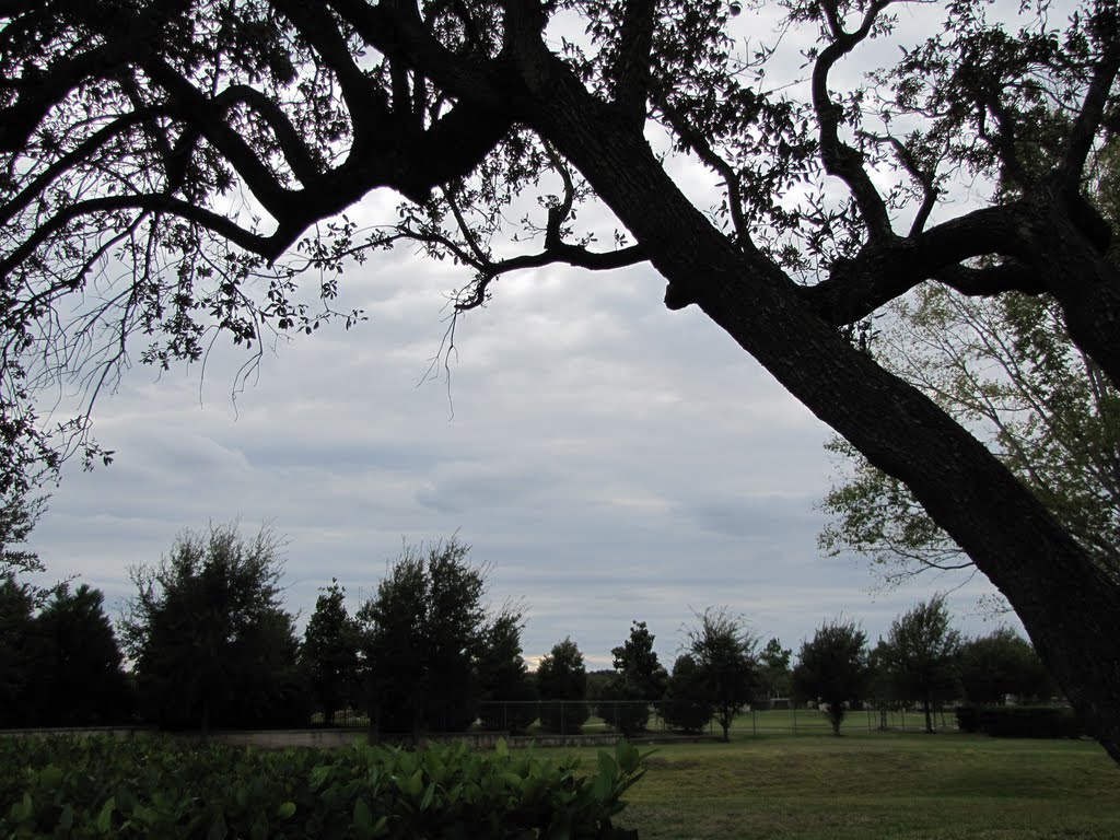 Forest Park Cemetery grounds by WOLFGANG HOUSTON WEST