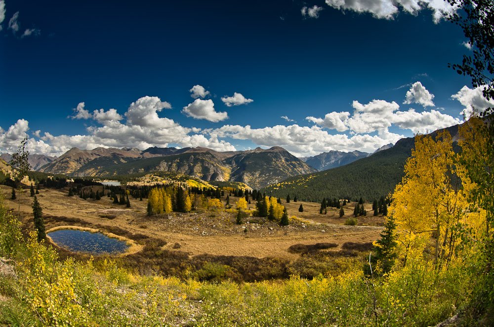 From Molass Pass by Greg Nyquist