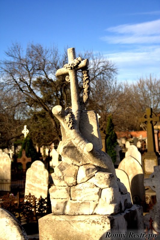 St Kilda Cemetery by ronny restrepo