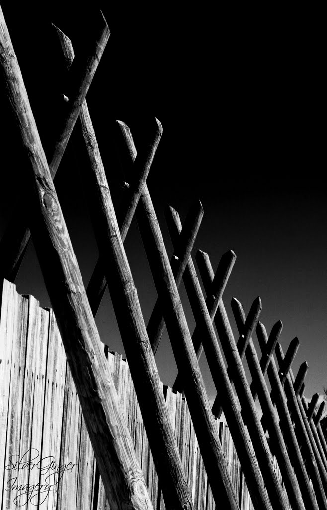 Cross Poles by Lee Gill