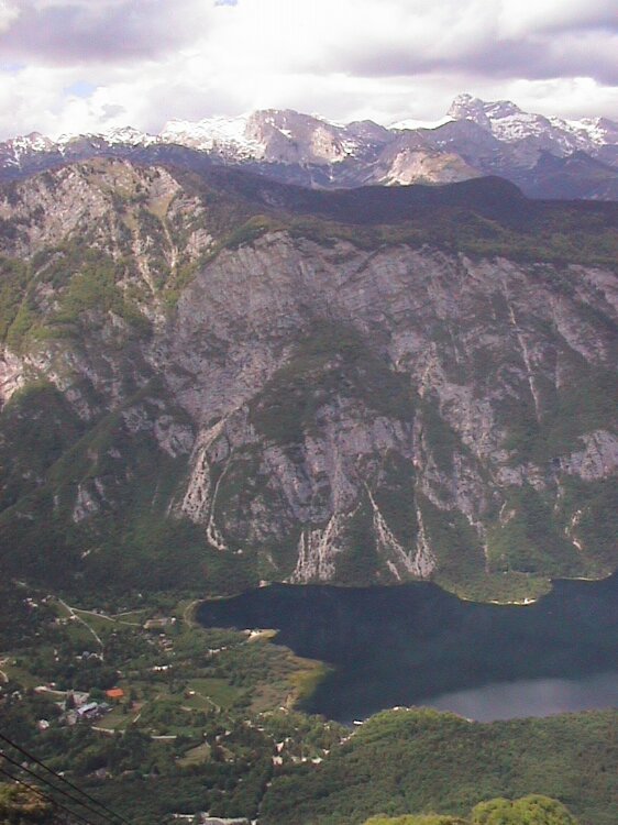 Blick vom Vogel auf den Bohinjsko Jezero by upelepi