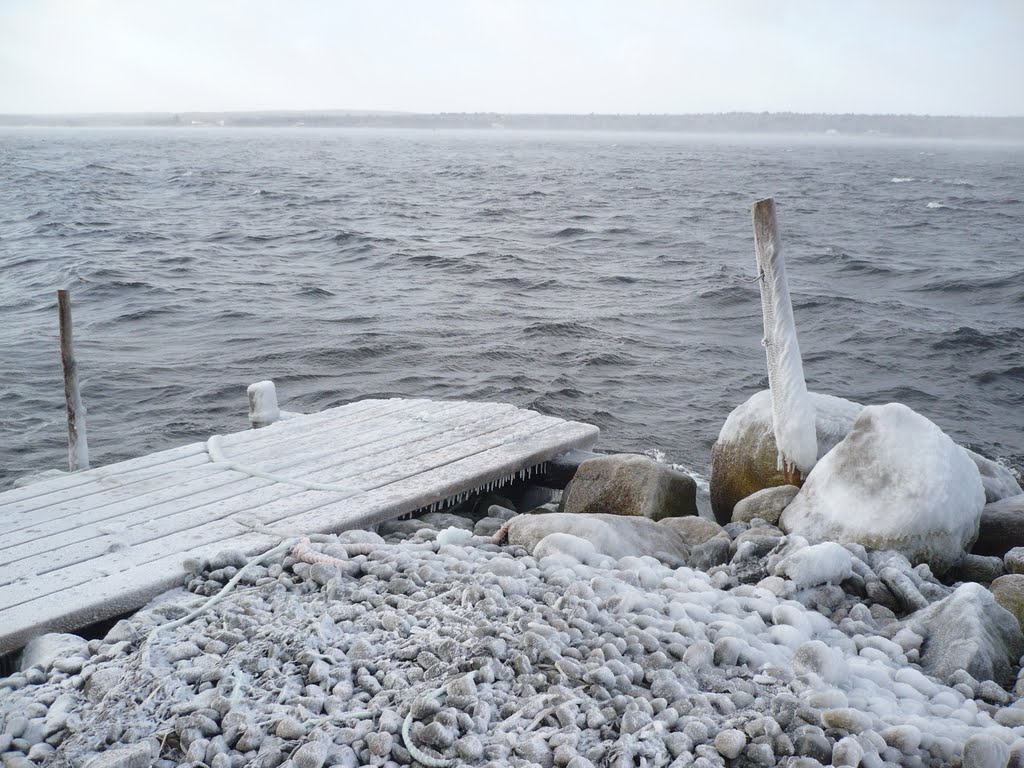 Winter Shelburne Harbour by Carter Boswell