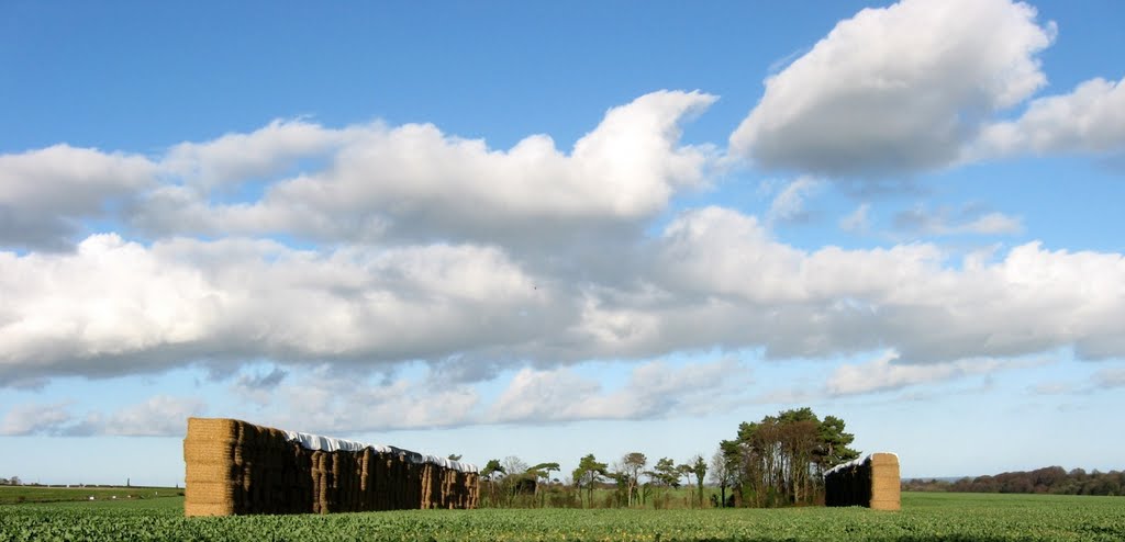 Campagne anglaise by Jean Marc Gfp