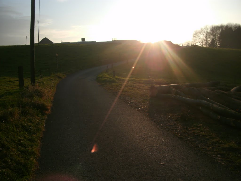 Sonne und schatten im herbst by sonnenstrahler