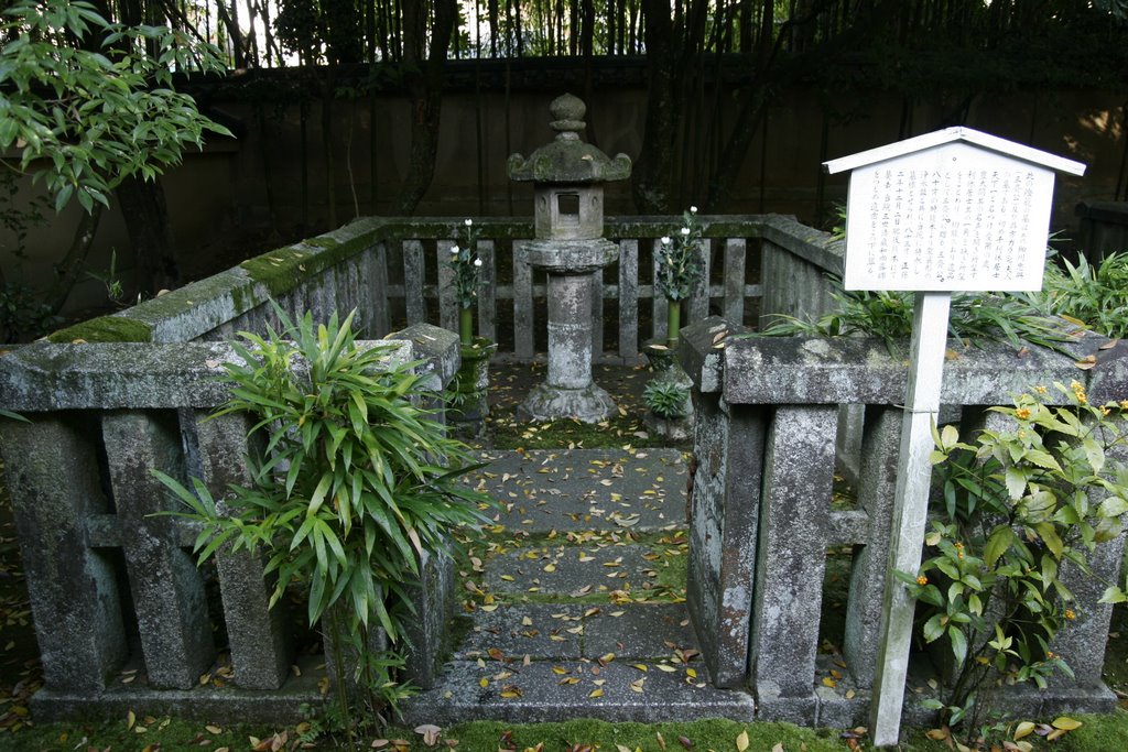 Kotoin temple 高桐院 by Kaiseikun