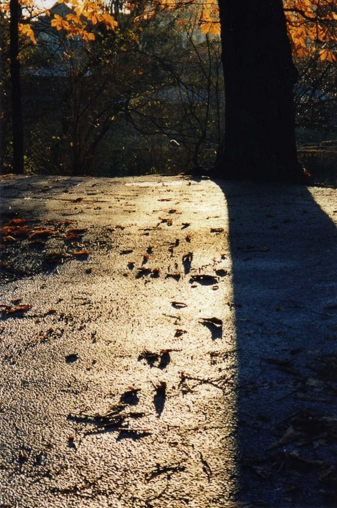 Stadtpark 11. Nov. 2007 by Emeline Drouzy