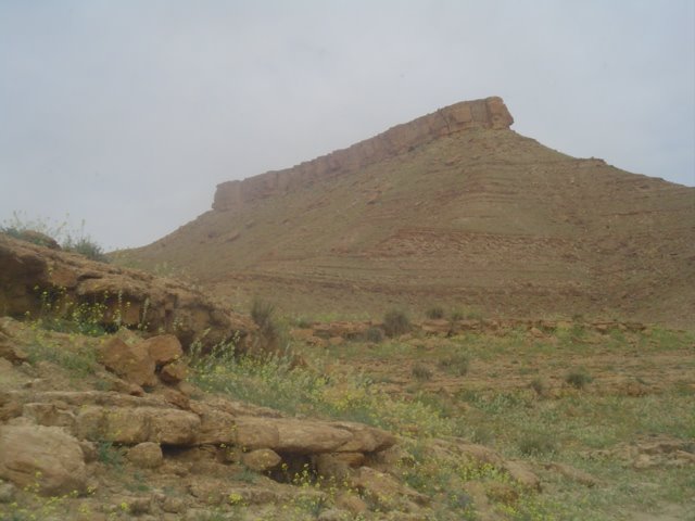 Ouled Sidi Brahim, Algeria by ALAAMAYAD