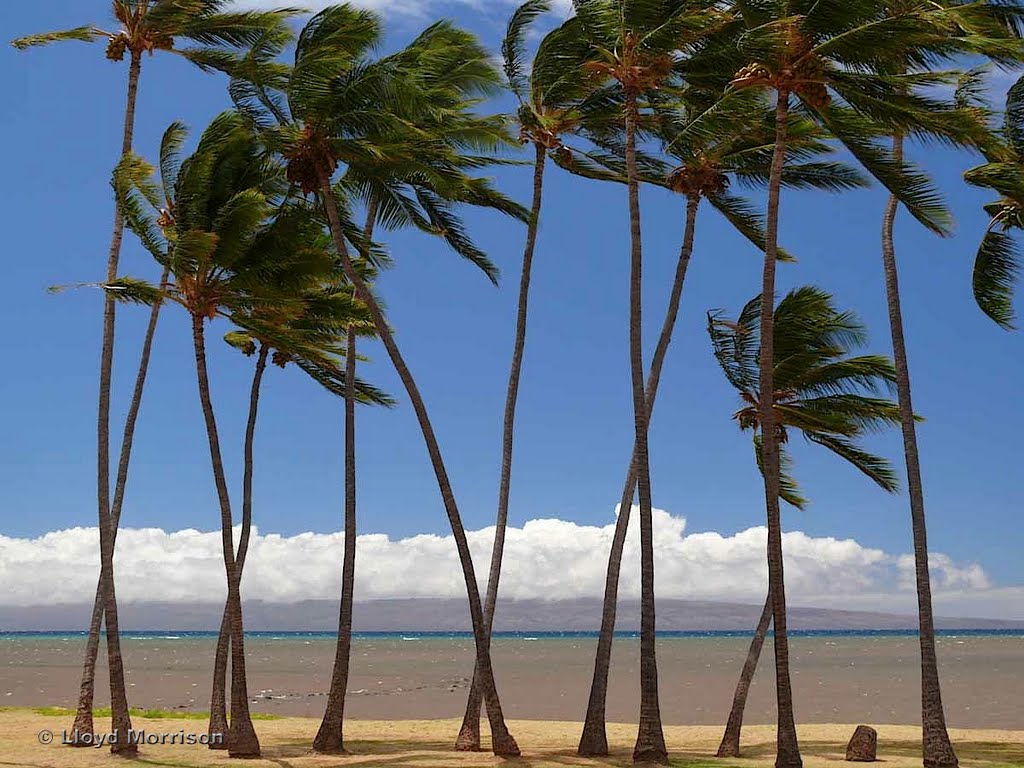 One Ali'i Beach Park, Molokai, Hawaii by adventuretravelww.com