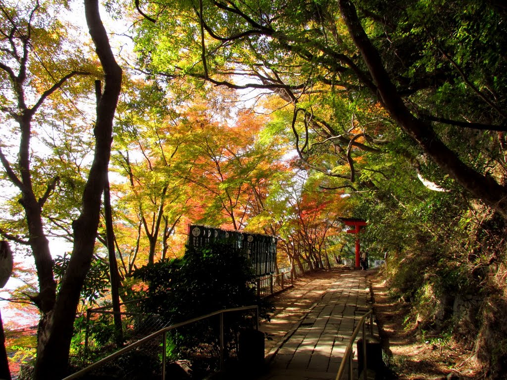 鳳来寺山　紅葉　2011 by oota