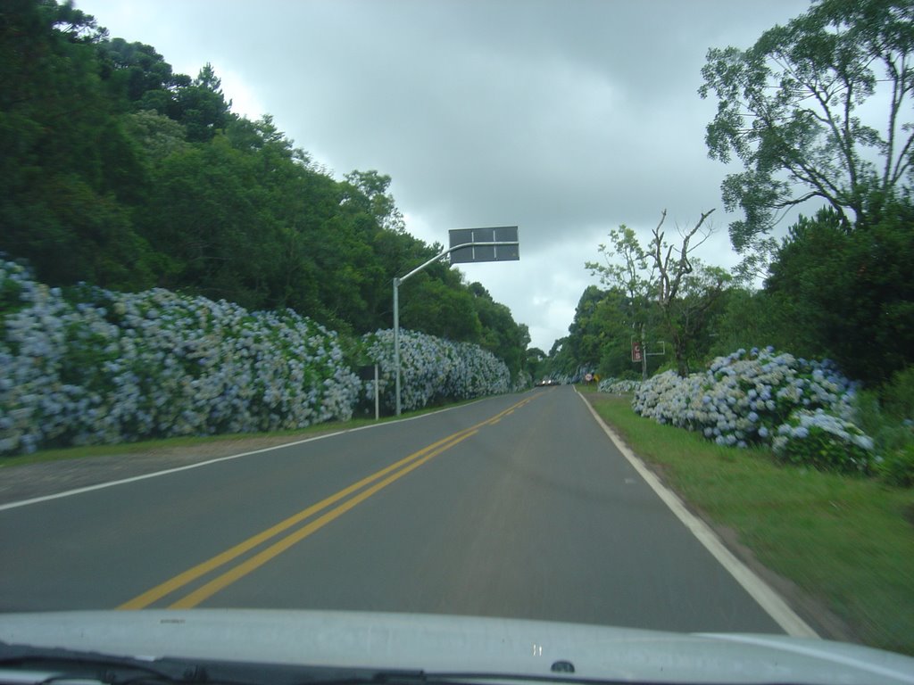 Estradas de Gramado - RS - Brazil by Rodrigo Padula de Ol…