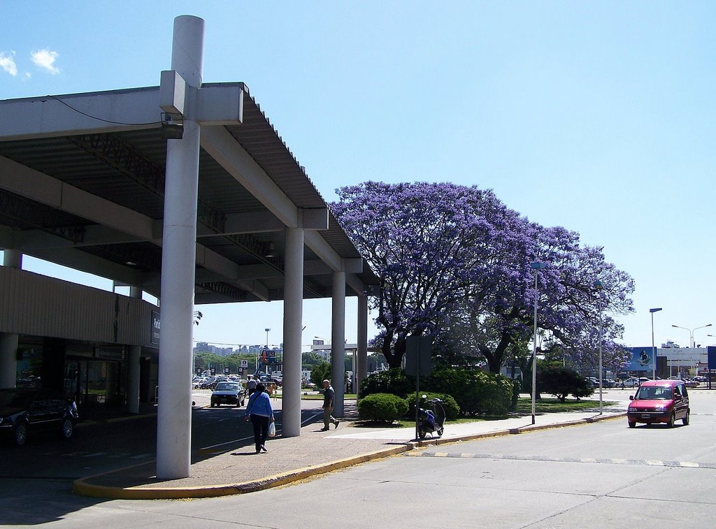 Flores celestes. by Eduardo Castaño