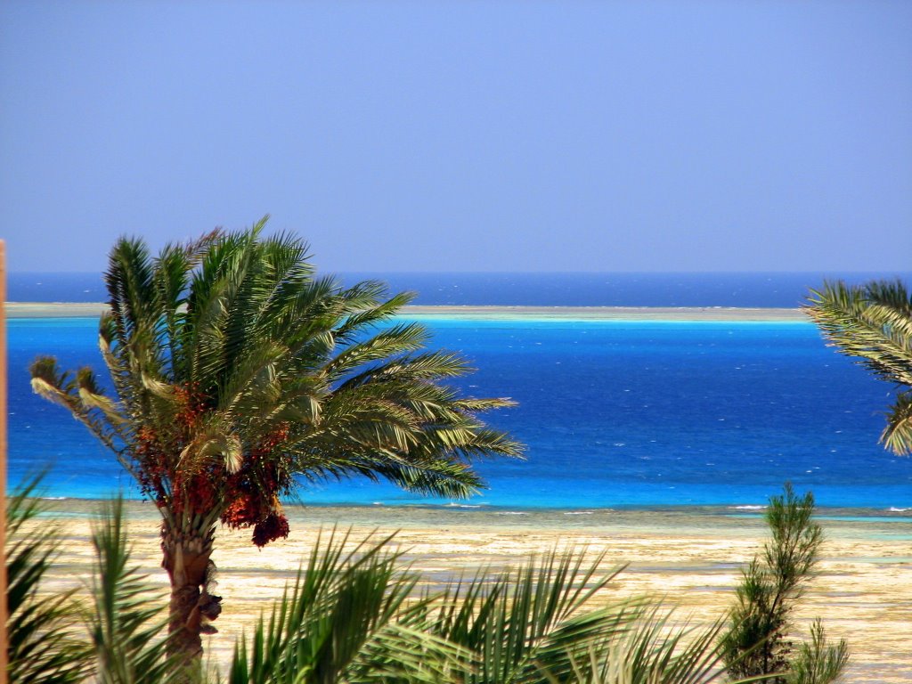 Red Sea... very blue indeed (Thiago) by slo_thiago