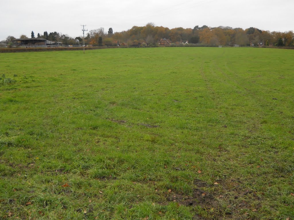 The Mattingley Open Field by Robert'sGoogleEarthPictures