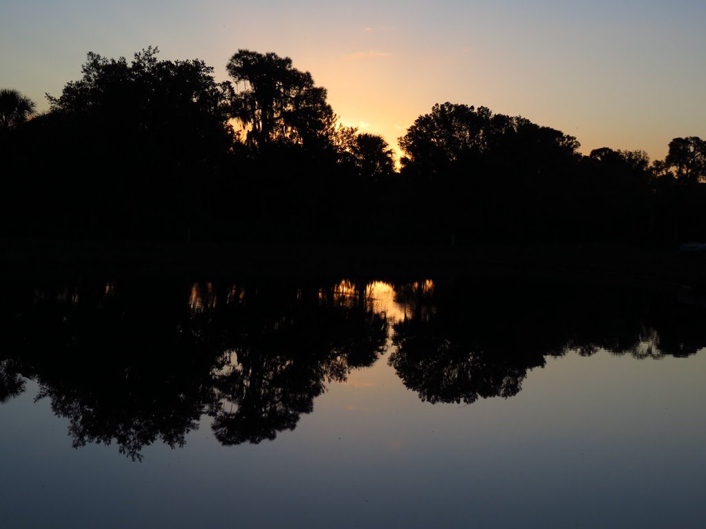 Florida Sunrise by Wild Panoramic