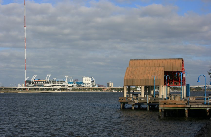 Acros the river Jaguar's Stadoum View by Liubov Mozolevskaya