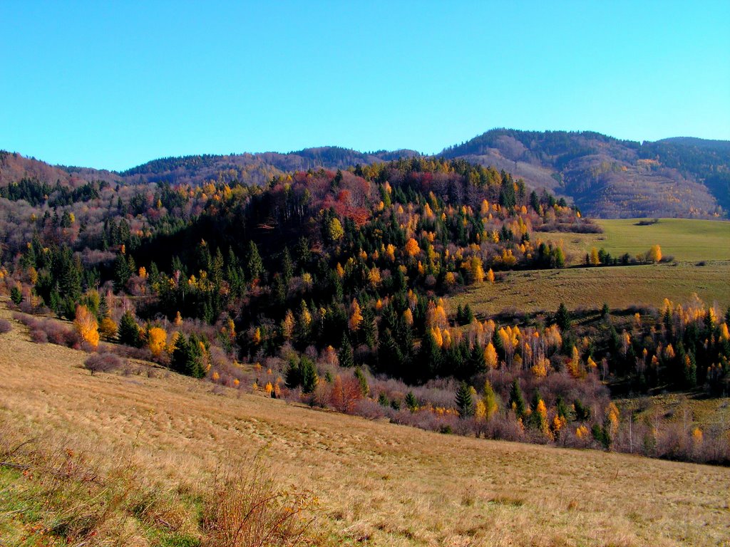 Dobšinské kopce - Jeleniarka by Rudolf Pellionis