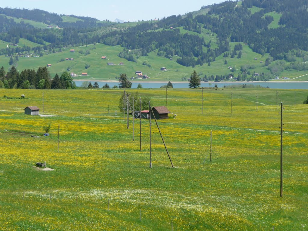 Landschaft bei Gross mit Sihlsee (Einsiedeln) by bienenritter