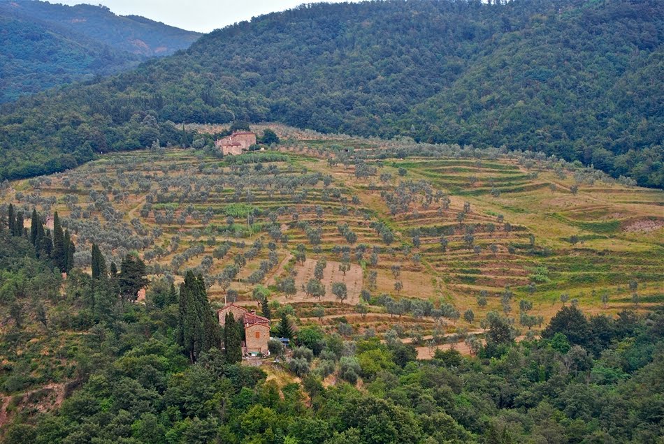 Colline toscane by Roberto Zanleone