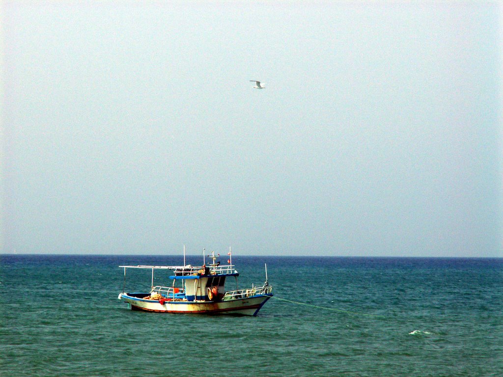 Fisherman in Hammamet by Madalin TANASE