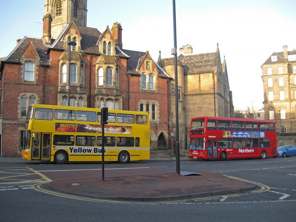 Gele bus, rode bus by Paul Nechkova-Raven