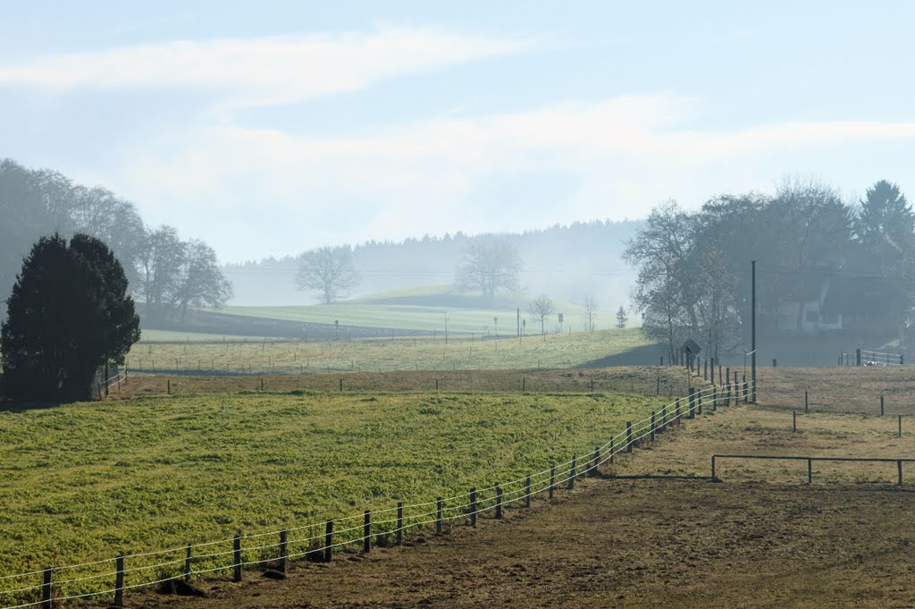 Autumn scene by Volker P. Schenk