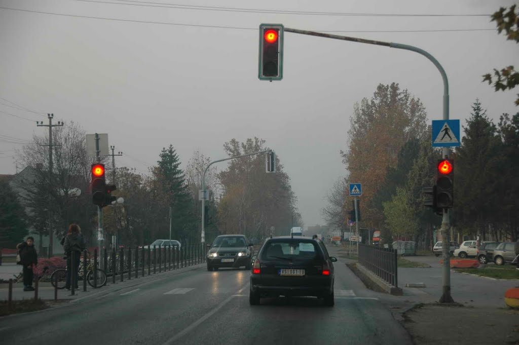 Bačko Dobro Polje by Teča sa Dunava