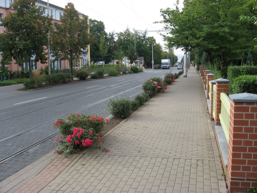 Nordhausen, Stolberger Straße by Eckbert John