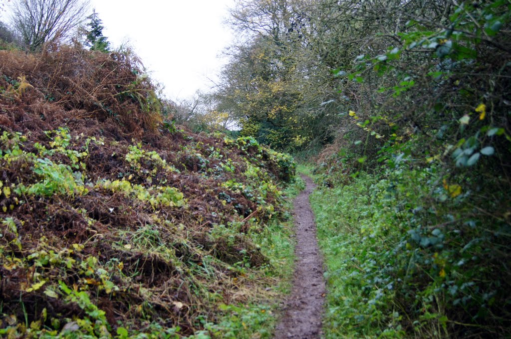 Path on Lodge Hill by Jason Bryan