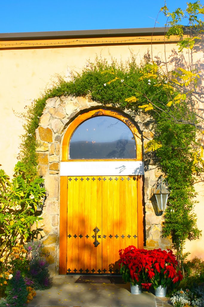 Winery and Vineyards, Napa Valley, CA by Michael Jiroch