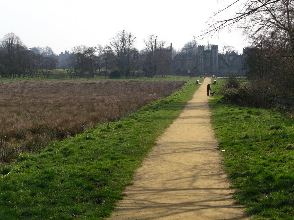 Cowdray Ruins by ZPIX