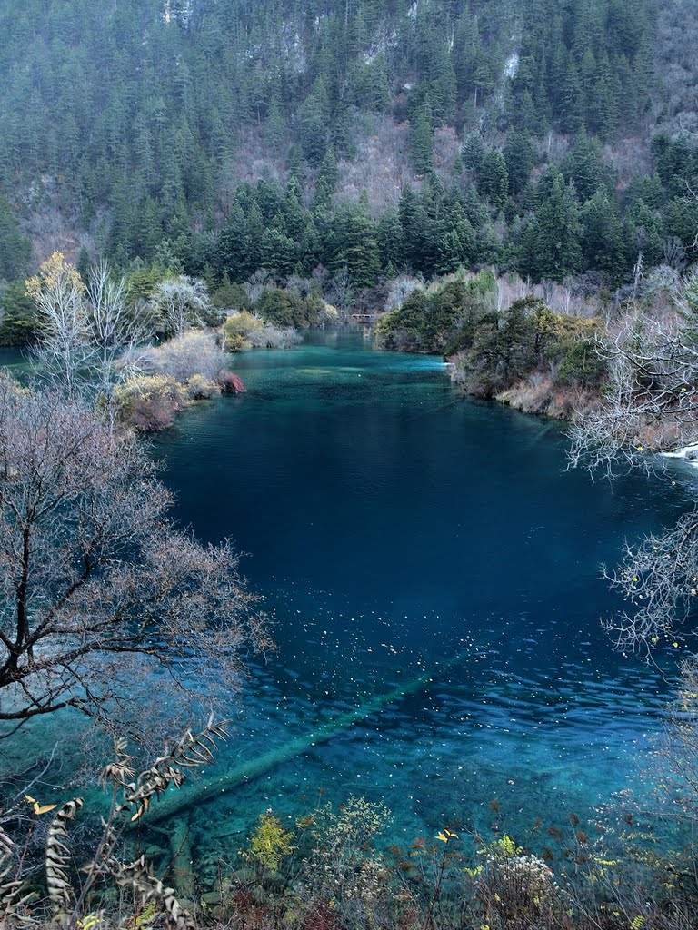 Jiuzhaigou - 九寨溝樹正群海 by Kay Sin