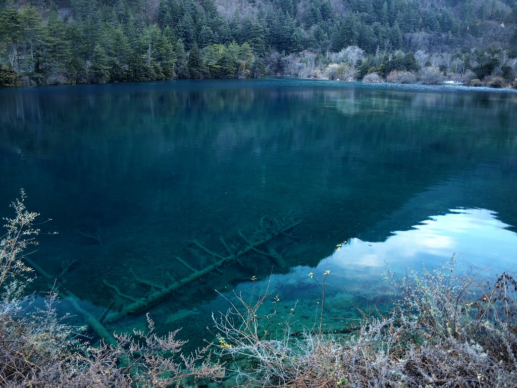 Jiuzhaigou - 九寨溝樹正群海 by Kay Sin