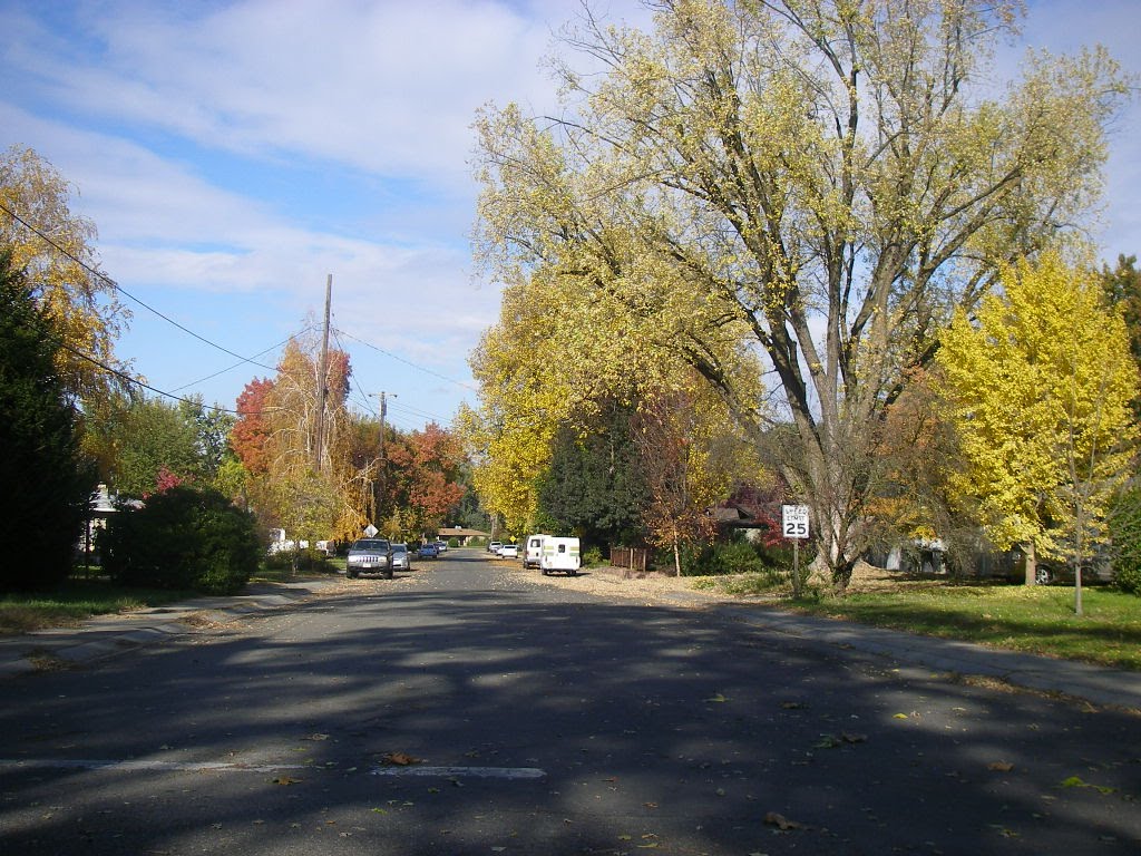 Fall on Bidwell Dr - Chico, CA by corneliusrags