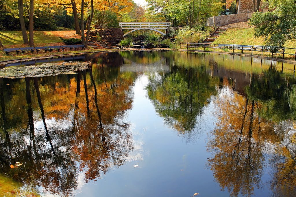 Autumn Reflections by diannemd