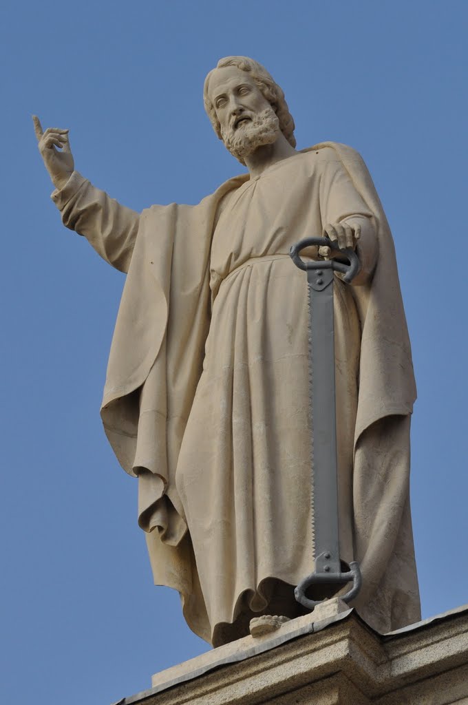 Statua sul Duomo di Vercelli by vallus67